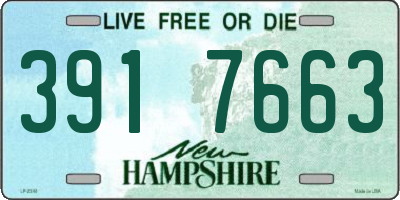NH license plate 3917663
