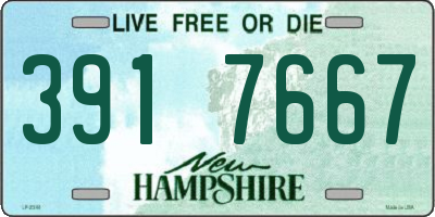 NH license plate 3917667