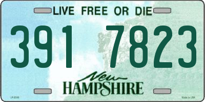 NH license plate 3917823