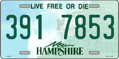 NH license plate 3917853