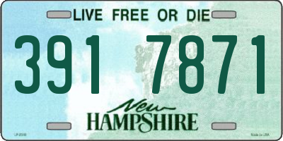 NH license plate 3917871