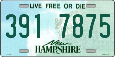 NH license plate 3917875