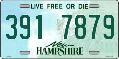 NH license plate 3917879