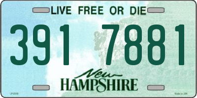 NH license plate 3917881