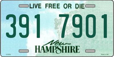 NH license plate 3917901