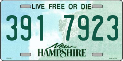 NH license plate 3917923