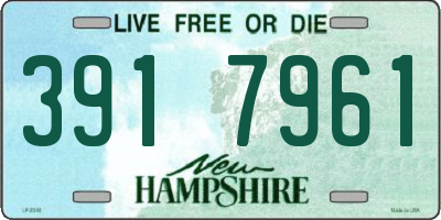 NH license plate 3917961
