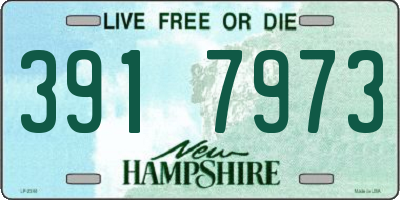 NH license plate 3917973