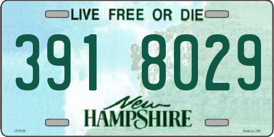 NH license plate 3918029