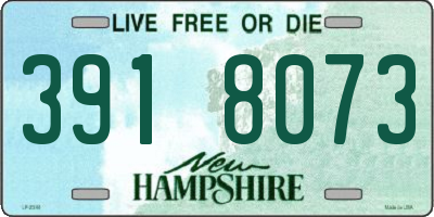 NH license plate 3918073
