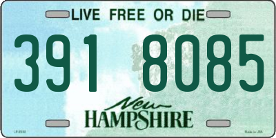 NH license plate 3918085