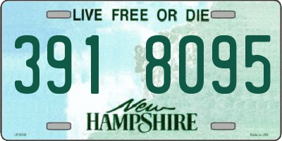NH license plate 3918095