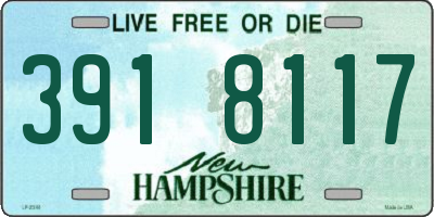 NH license plate 3918117