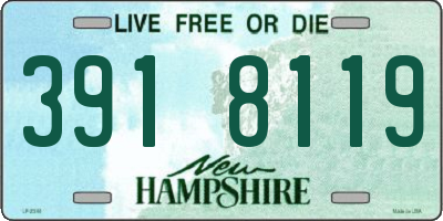 NH license plate 3918119