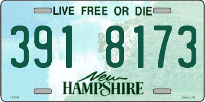 NH license plate 3918173