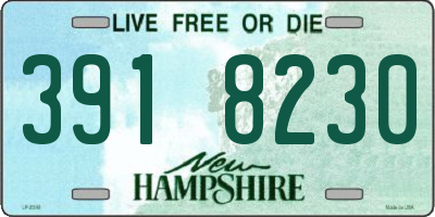 NH license plate 3918230