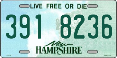 NH license plate 3918236