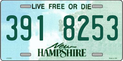 NH license plate 3918253