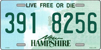 NH license plate 3918256