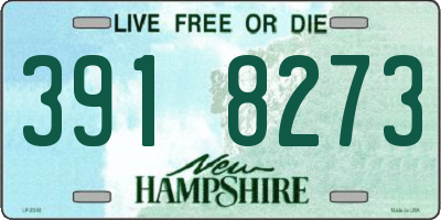 NH license plate 3918273