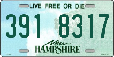 NH license plate 3918317