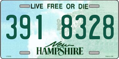 NH license plate 3918328