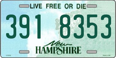 NH license plate 3918353