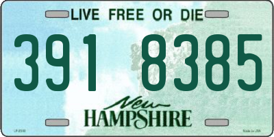NH license plate 3918385