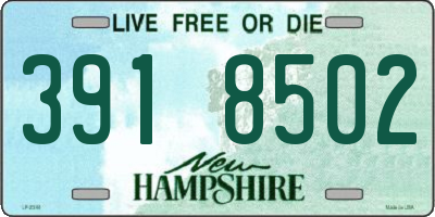 NH license plate 3918502