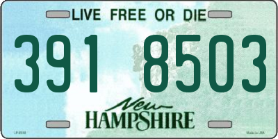 NH license plate 3918503