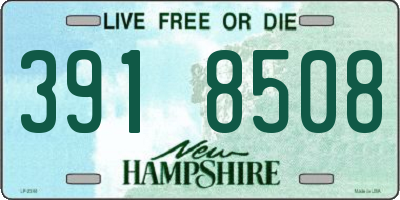 NH license plate 3918508