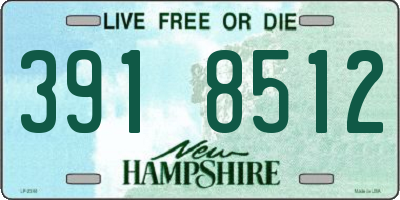 NH license plate 3918512