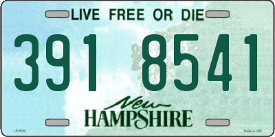 NH license plate 3918541