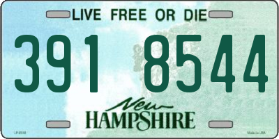 NH license plate 3918544