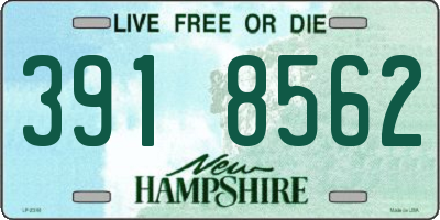 NH license plate 3918562