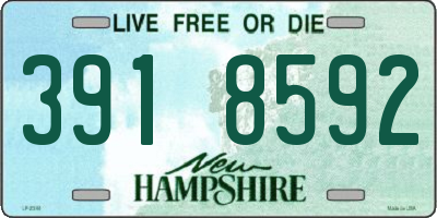 NH license plate 3918592