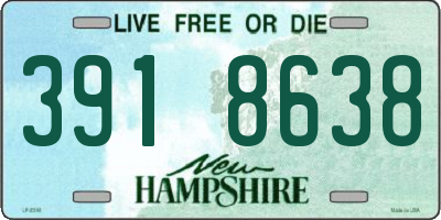 NH license plate 3918638