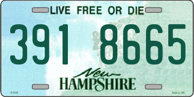 NH license plate 3918665