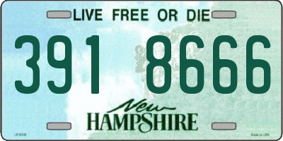 NH license plate 3918666
