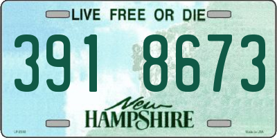 NH license plate 3918673