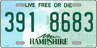 NH license plate 3918683