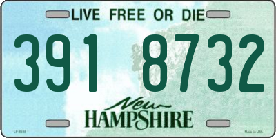NH license plate 3918732