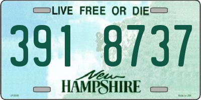 NH license plate 3918737
