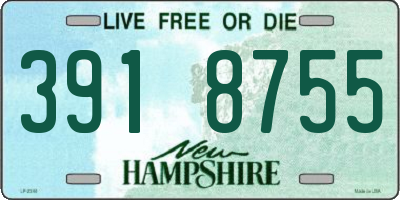 NH license plate 3918755