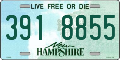 NH license plate 3918855