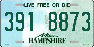 NH license plate 3918873