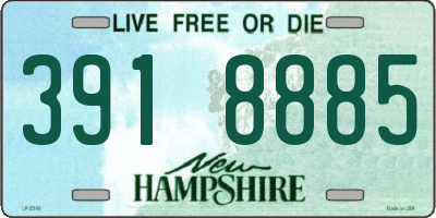 NH license plate 3918885