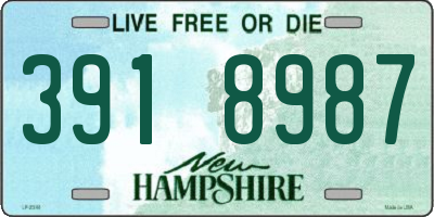 NH license plate 3918987