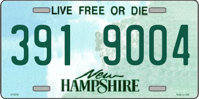 NH license plate 3919004