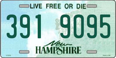 NH license plate 3919095